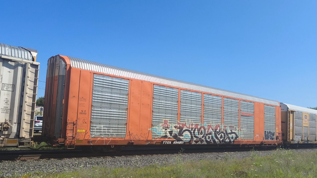 BNSF 28562 (Body) TTGX 694801 (Flat)